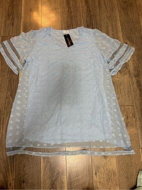 Chigant Pale Blue Swiss Dot Sheer Short Sleeve Dress